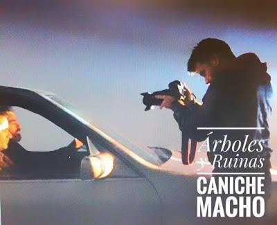 Caniche Macho: Árboles y Ruinas es su single debut Caniche Macho: Árboles y Ruinas es su single debut