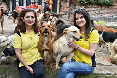 RENAULT DONÓ ALIMENTO CANINO A FUNDACIÓN