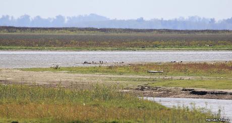 Gorchs-Monte (abril 2018)