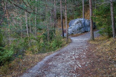 Una piedra en el camino