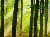 nombre mundo bosque (1976), ursula guin. colonialismo planetario.