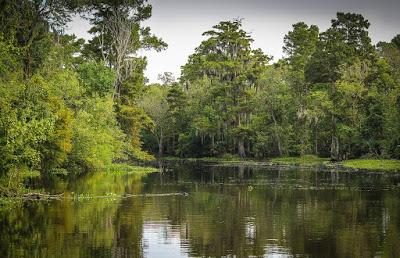 Felipe Nueva Orleans: historia España Louisiana suficientemente conocida