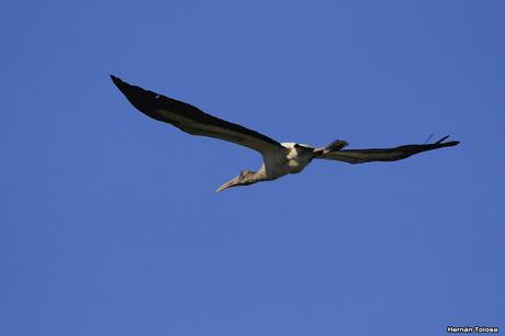 Laguna de Monte (marzo 2018)