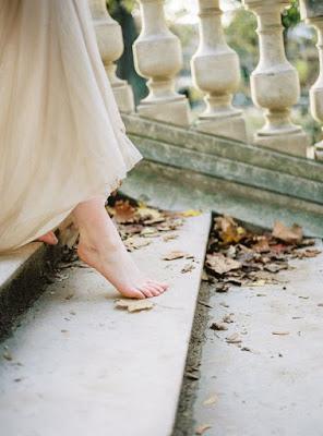 Reseña | La cúpula de hielo ~ Patricia García Ferrer