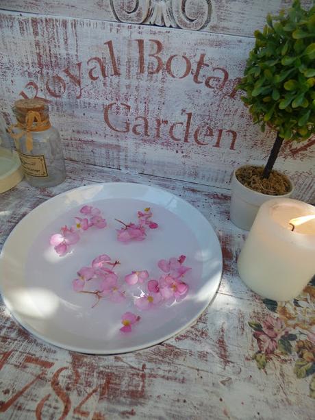 Reciclaje: Portamacetas.....o bebedero??