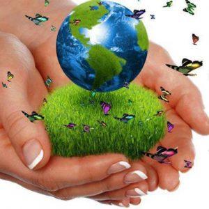 Los 4 países mas responsables con el medio ambiente