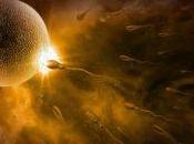 cómo Alma elige futuros padres para reencarnar