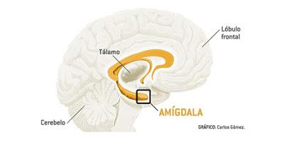 La magia del miedo: “cuanto más temo algo, más probable me parece” La magia del miedo: “cuanto más temo algo, más probable me parece”