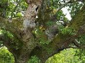 dualidad espiritualidad