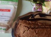 Bizcocho Lúcuma Espelta