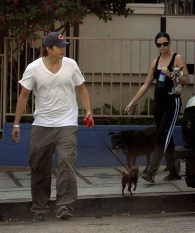 Celebridades y sus Chihuahuas: Demi moore y Ashton kutcher