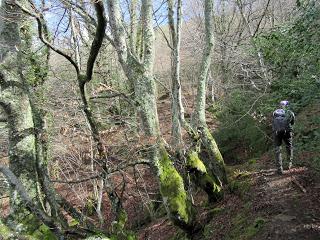 Las Chanas-Porciles-Lindes-Cortes