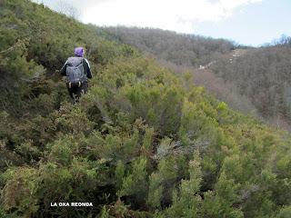 Las Chanas-Porciles-Lindes-Cortes