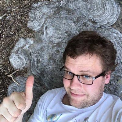 Los cocodrilos mesozoicos de John Meszaros