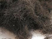 bigote Emmanuel Carrère