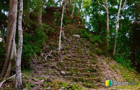 Pirámide maya cubierta por la selva de Guatemala