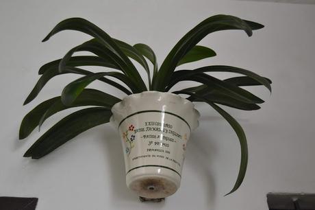 VEJER DE LA FRONTERA LA COBIJADA DE CÁDIZ VEJER DE LA FRONTERA LA COBIJADA DE CÁDIZ