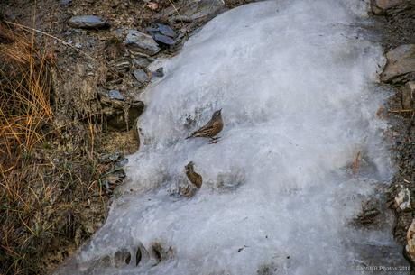 Dónde está el agua
