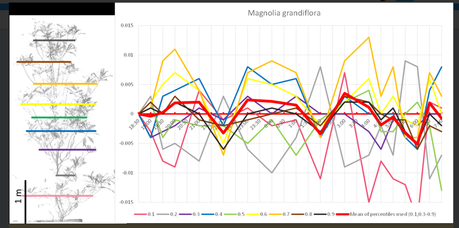 magnolia_chart.PNG.838x0_q80