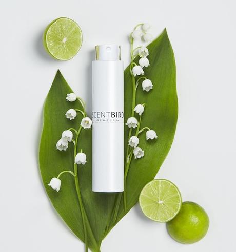 SCENTBIRD – un perfume de gama alta cada mes en tu casa SCENTBIRD – un perfume de gama alta cada mes en tu casa