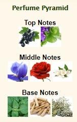 SCENTBIRD – un perfume de gama alta cada mes en tu casa SCENTBIRD – un perfume de gama alta cada mes en tu casa