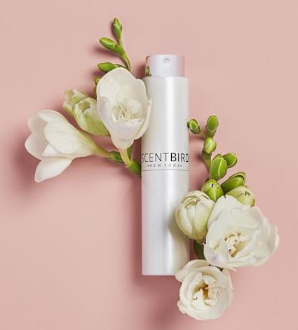 SCENTBIRD – un perfume de gama alta cada mes en tu casa