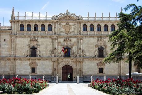 Los 20 imprescindibles que ver en Alcalá de Henares