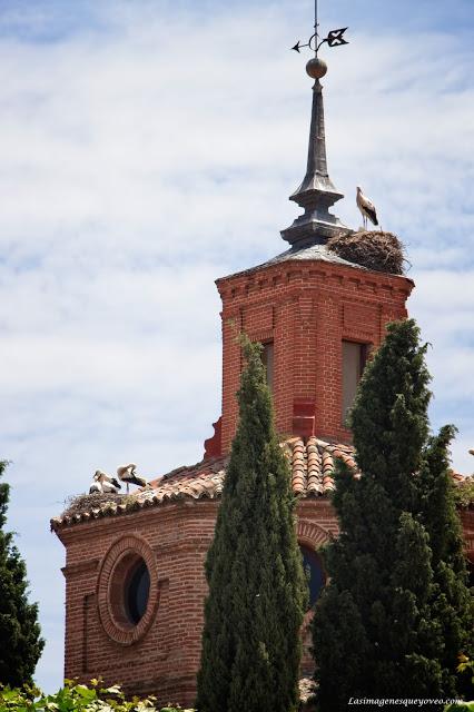 Los 20 imprescindibles que ver en Alcalá de Henares