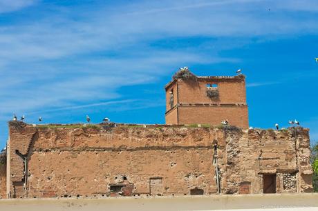 Los 20 imprescindibles que ver en Alcalá de Henares