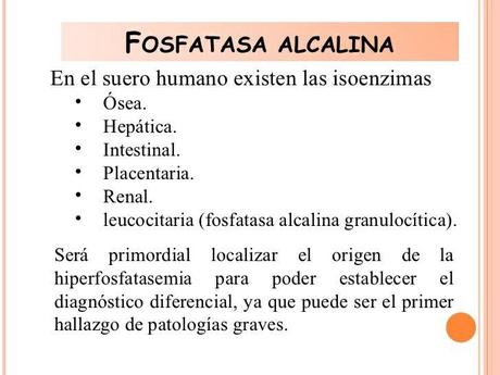 Fosfatasa alcalina