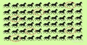Nadie ha podido resolver este acertijo de caballos en menos de 30 segundos ¿podrás hacerlo tú? test-caballos-distintos-1