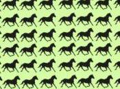 Nadie podido resolver este acertijo caballos menos segundos ¿podrás hacerlo