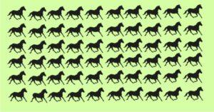 Nadie ha podido resolver este acertijo de caballos en menos de 30 segundos ¿podrás hacerlo tú? test-caballos-arreglado