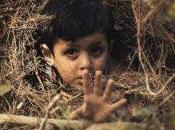 Esta foto viral bebé ‘enjaulado’ servicio inmigración EE.UU. parece