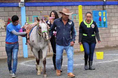MEJORA EQUINOTERAPIA CALIDAD DE VIDA DE PACIENTES MEJORA EQUINOTERAPIA CALIDAD DE VIDA DE PACIENTES