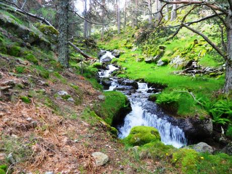 ARROYO DE LAS ZORRAS