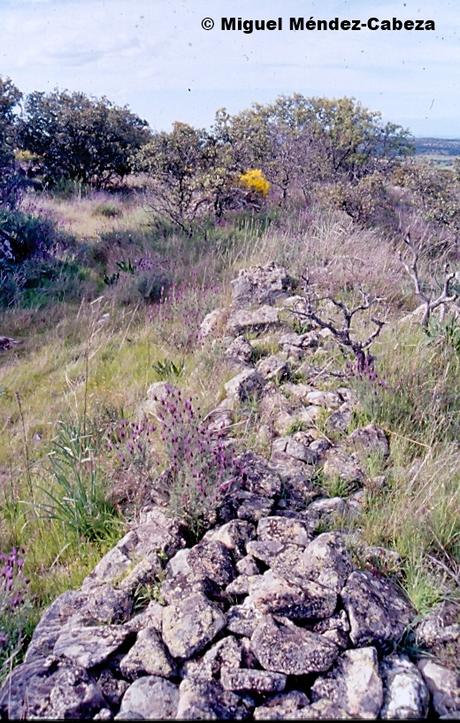 Camino de los Bandoleros a Guadalupe: vamos hacia Aldeanovita