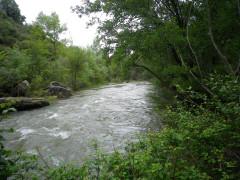 Aguas del Sorbe Aguas del Sorbe