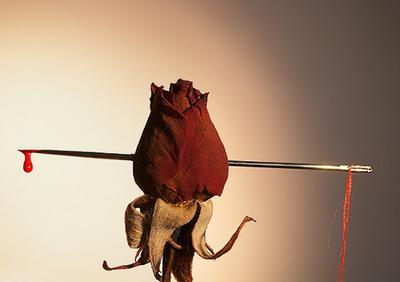 Resultado de imagen para traicion