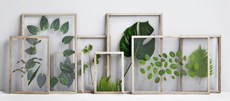 diy-decoracion-hojas-plantas