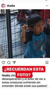 La verdad sobre los niños enjaulados y la hipocresia de la izquierda en USA