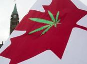 Canadá legaliza marihuana