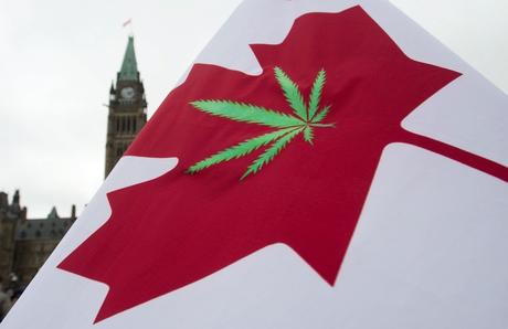 CANADÁ LEGALIZA LA MARIHUANA