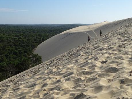 [Nuevo en el post]: Duna Pilat, el sorprendente desierto de Francia