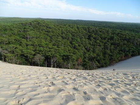 Duna Pilat Francia France Bosque Landas paisaje increíble
