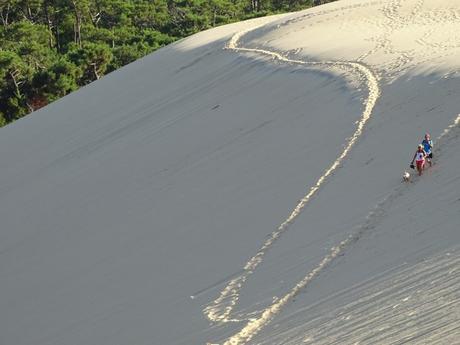 vista duna gran duna pilat arena francia france