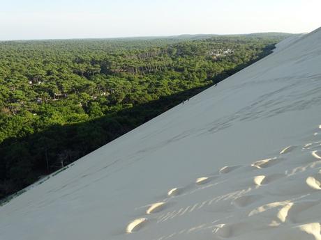 camping duna pilat la foret francia france 