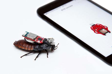 'Intrascendente'. Ennen y Zela-Koort le sacan la vuelta al arte contemporáneo