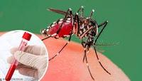 Nuevo Método para medir el Riesgo de Transmisión del Dengue