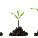 No será la primera vez (ni la última) en la que... No será la primera vez (ni la última) en la que...